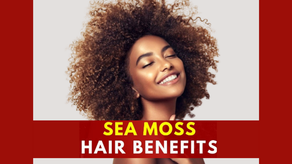 Sea Moss Jamaican Black Castor Oil 